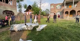 ‘পাকিস্তানে হামলা মোদি সরকারের কূটনৈতিক ব্যর্থতা’